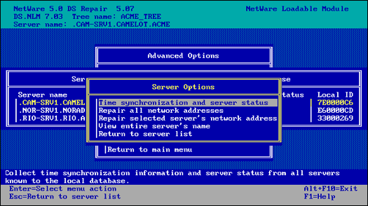 The DSREPAIR Server Options menu.