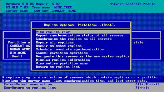 The Replicas Options menu in DSREPAIR for the CAMELOT.ACME Partition.